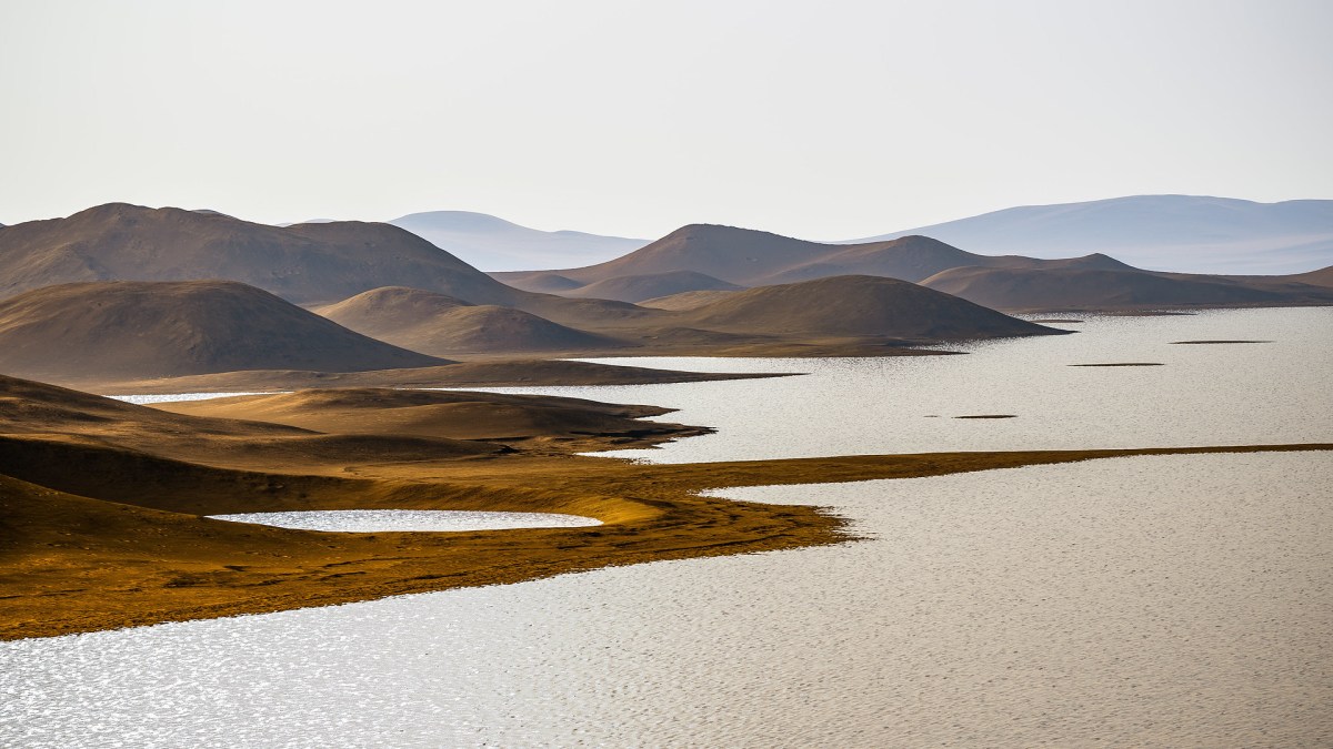 Représentation de Mars (Elysium Planitia) possédant de l'eau. // Source : Flickr/CC/Kevin Gill (image recadrée)