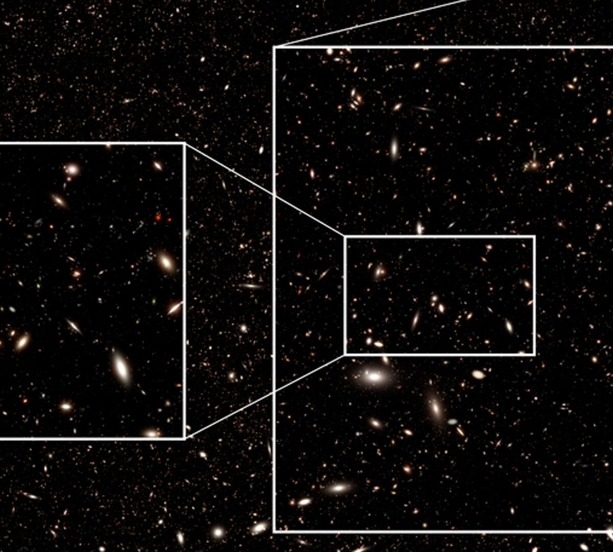 Simulation croppée du champ profond du Roman Space Telescope, lancement prévu d'ici 2027. // Source : NASA’s Goddard Space Flight Center