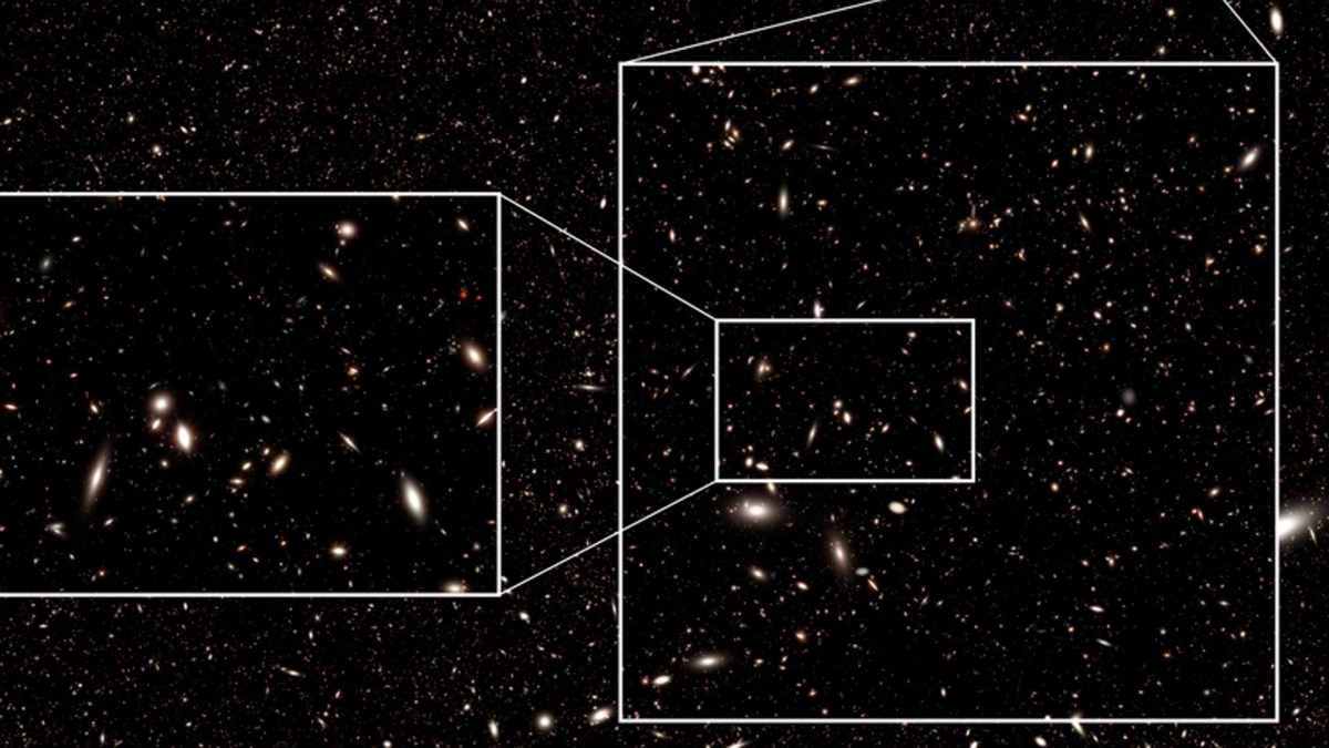 Simulation croppée du champ profond du Roman Space Telescope, lancement prévu d'ici 2027. // Source : NASA’s Goddard Space Flight Center