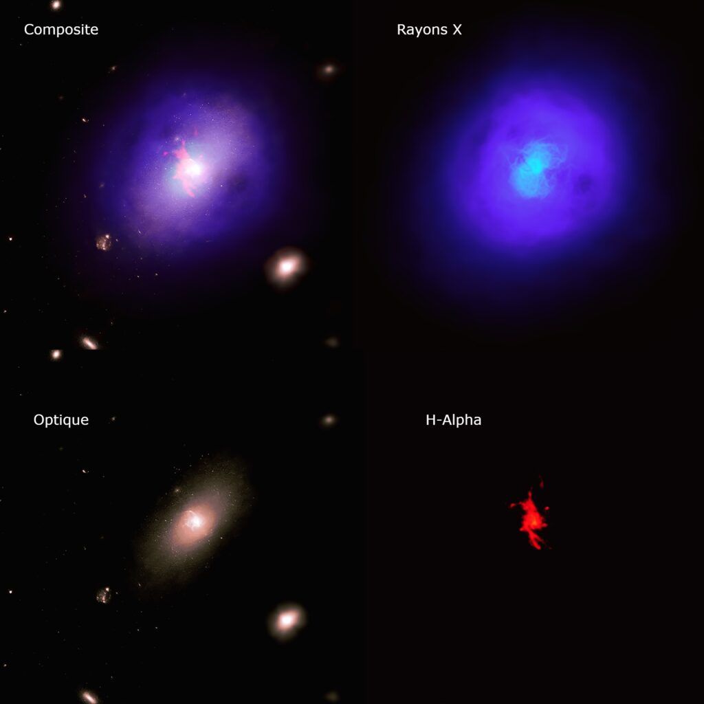 These sublime images of galaxies and stars combine several types of light