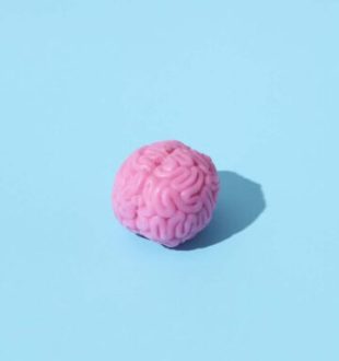 Piti cerveau. // Source : DS stories/Pexels