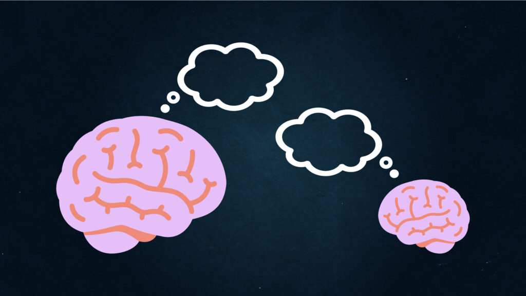Une relation entre taille du cerveau et intelligence ? // Source : Nino Barbey pour Numerama