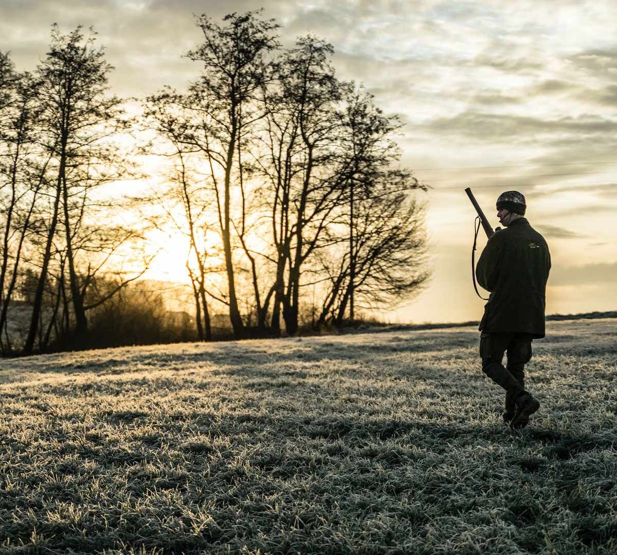 Le gouvernement veut mettre au point une application pour géolocaliser les chasseurs  // Source : Julian Hanslmaier / Unsplash