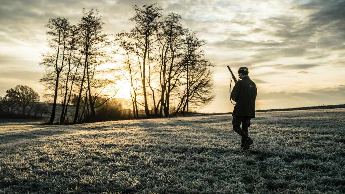 Le gouvernement veut mettre au point une application pour géolocaliser les chasseurs  // Source : Julian Hanslmaier / Unsplash