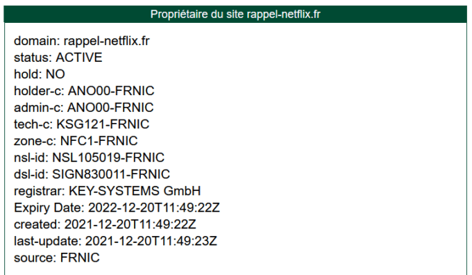 Une recherche Whois montre que le site est en ligne depuis fin décembre 2021 // Source : Capture écran Cyberguerre Une recherche Whois montre que le site est en ligne depuis fin décembre 2021 // Source : Capture écran Cyberguerre