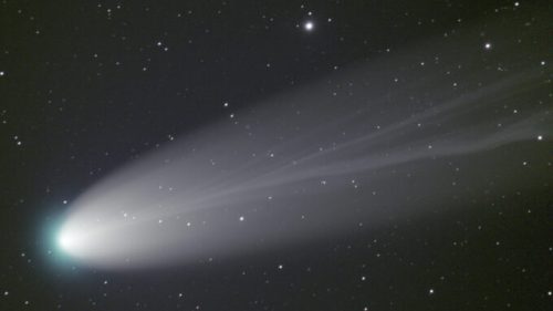 La comète 2021 A1 (Leonard). // Source : Flickr/CC/cafuego (photo recadrée)