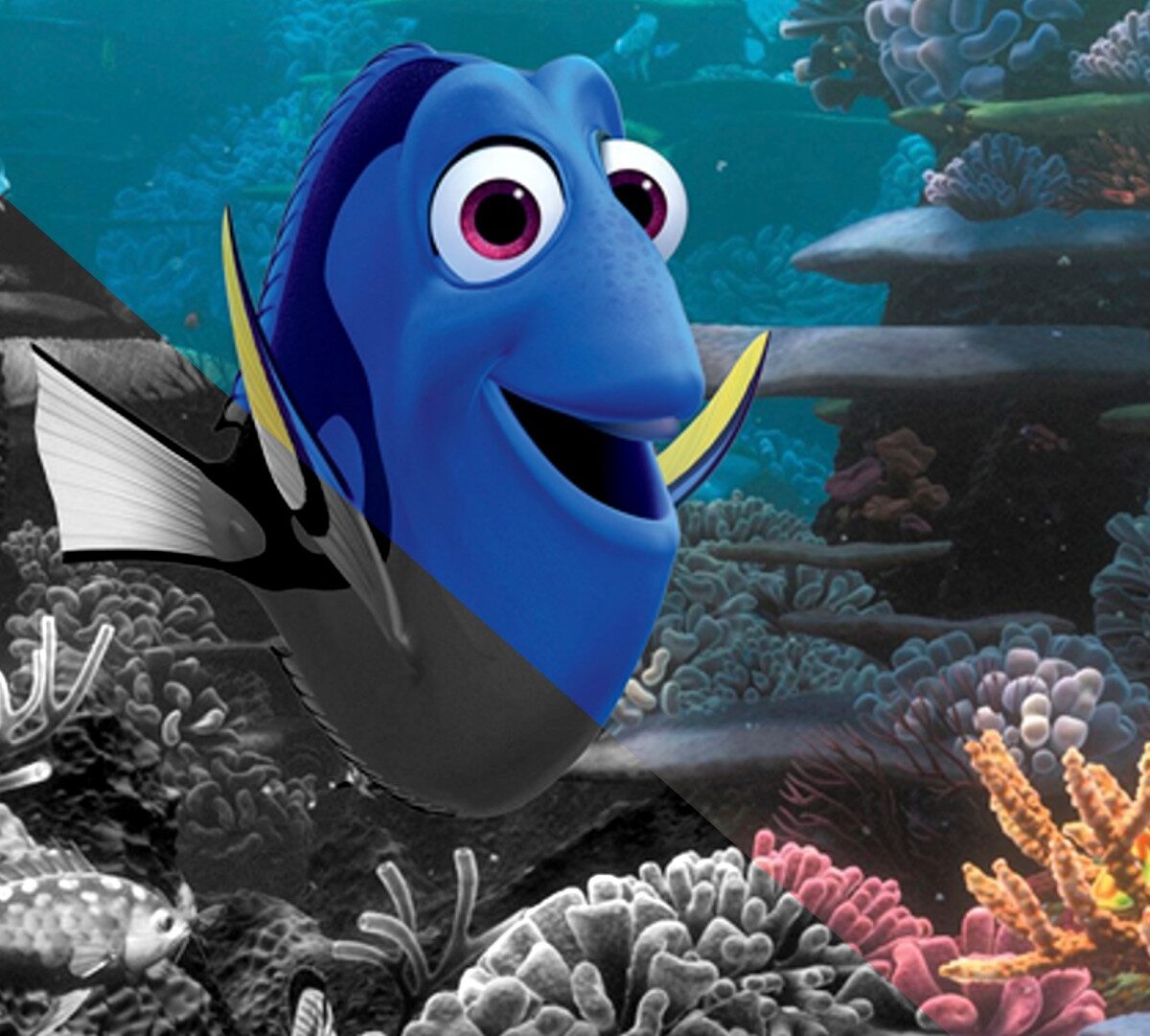 Source : Le Monde de Dory