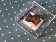 Fragment de la météorite de Gibeon. // Source : Nelly Lesage pour Numerama