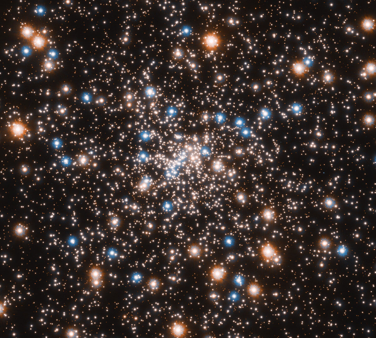 Amas globulaire NGC 6397 vu par Hubble. // Source : Flickr/CC/ESA/Hubble & NASA, L. Stanghellini (photo recadrée)