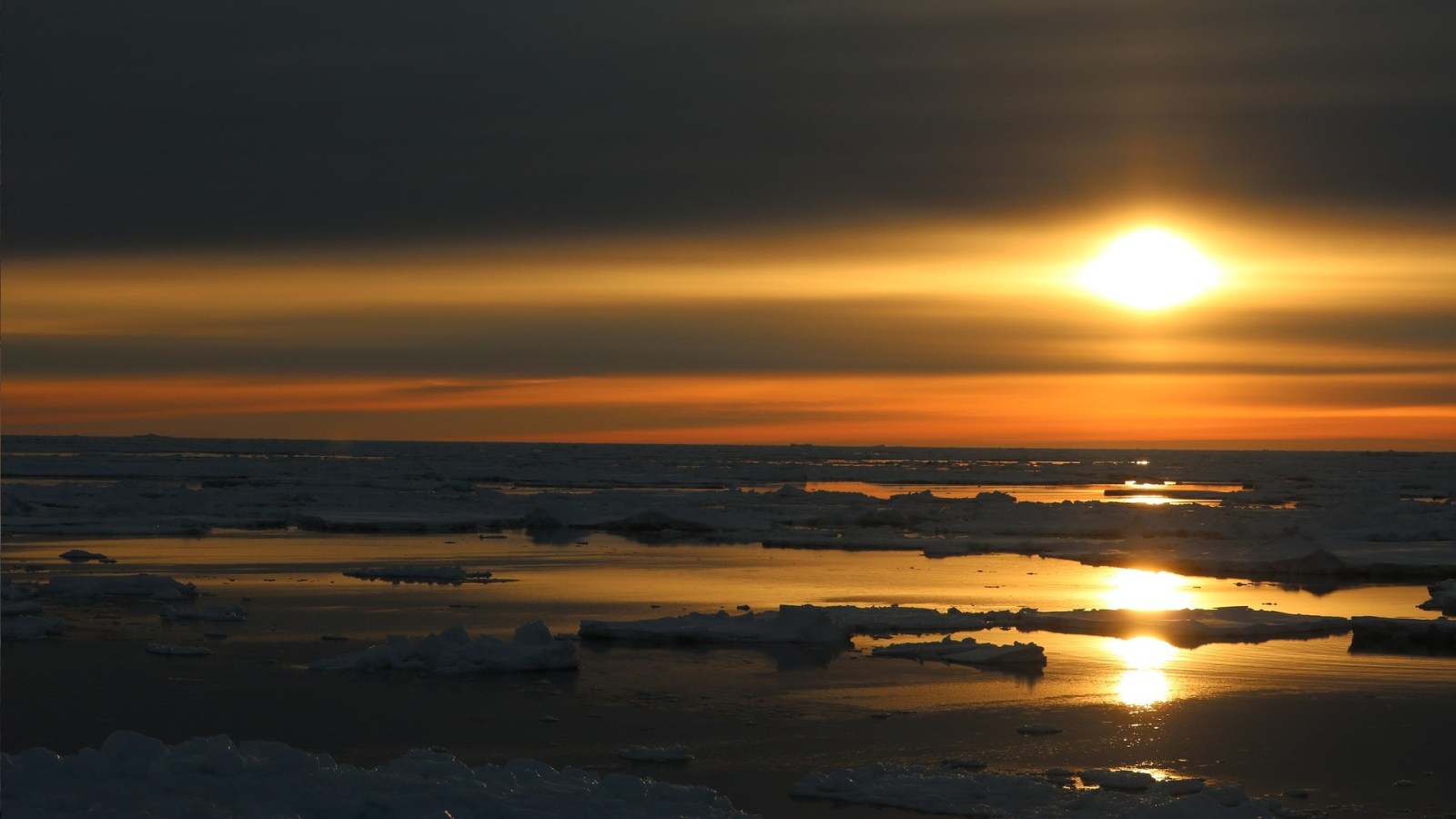 « Ce n'était jamais supposé advenir » : il n'a jamais fait si chaud en Antarctique à cette période - Numerama