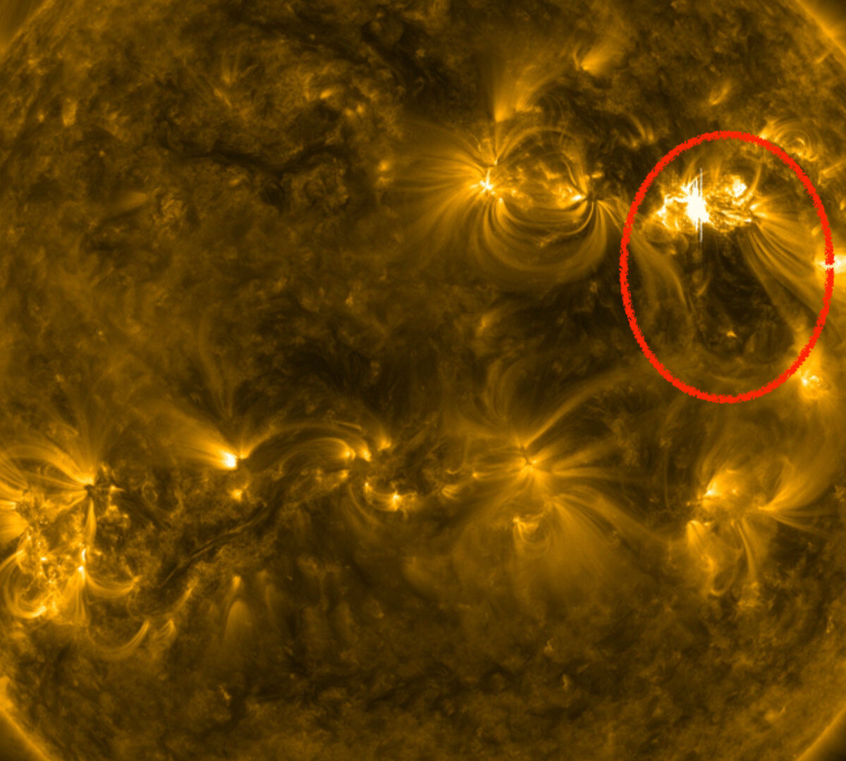 Le Soleil le 30 mars 2022. // Source : Nasa, annotation Numerama