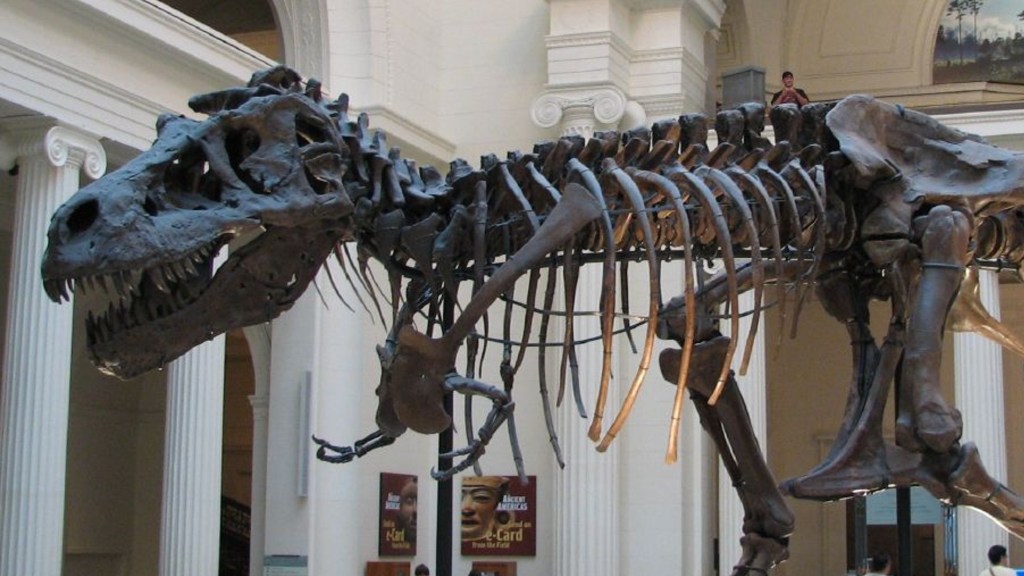 Voici Sue, un T.Rex. Ce spécimen est exposé au musée Field de Chicago. // Source : Steve Richmond / Wikimédias
