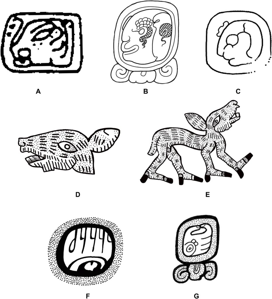 Comparaison des symboles mésoaméricains représentant un cerf. // Source : David and George Stuart / Science