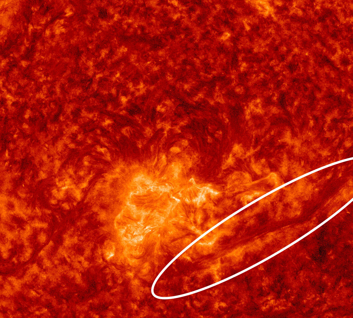 Zoom sur le Soleil le 3 avril 2022. // Source : SDO (image recadrée et annotée)