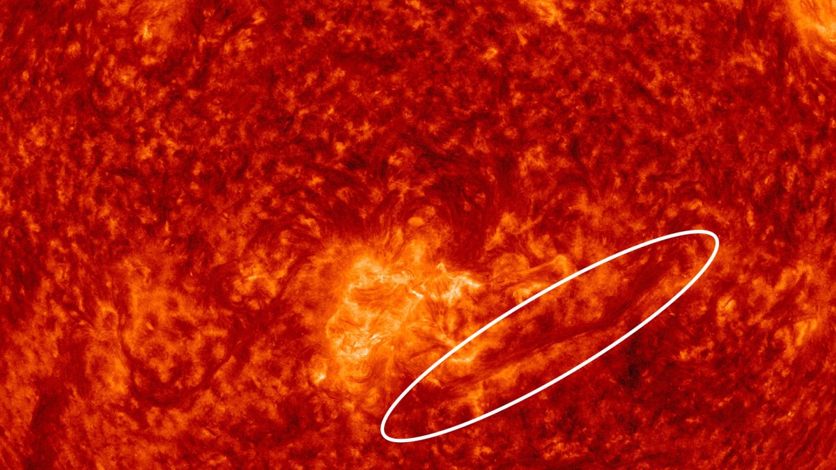 Zoom sur le Soleil le 3 avril 2022. // Source : SDO (image recadrée et annotée)