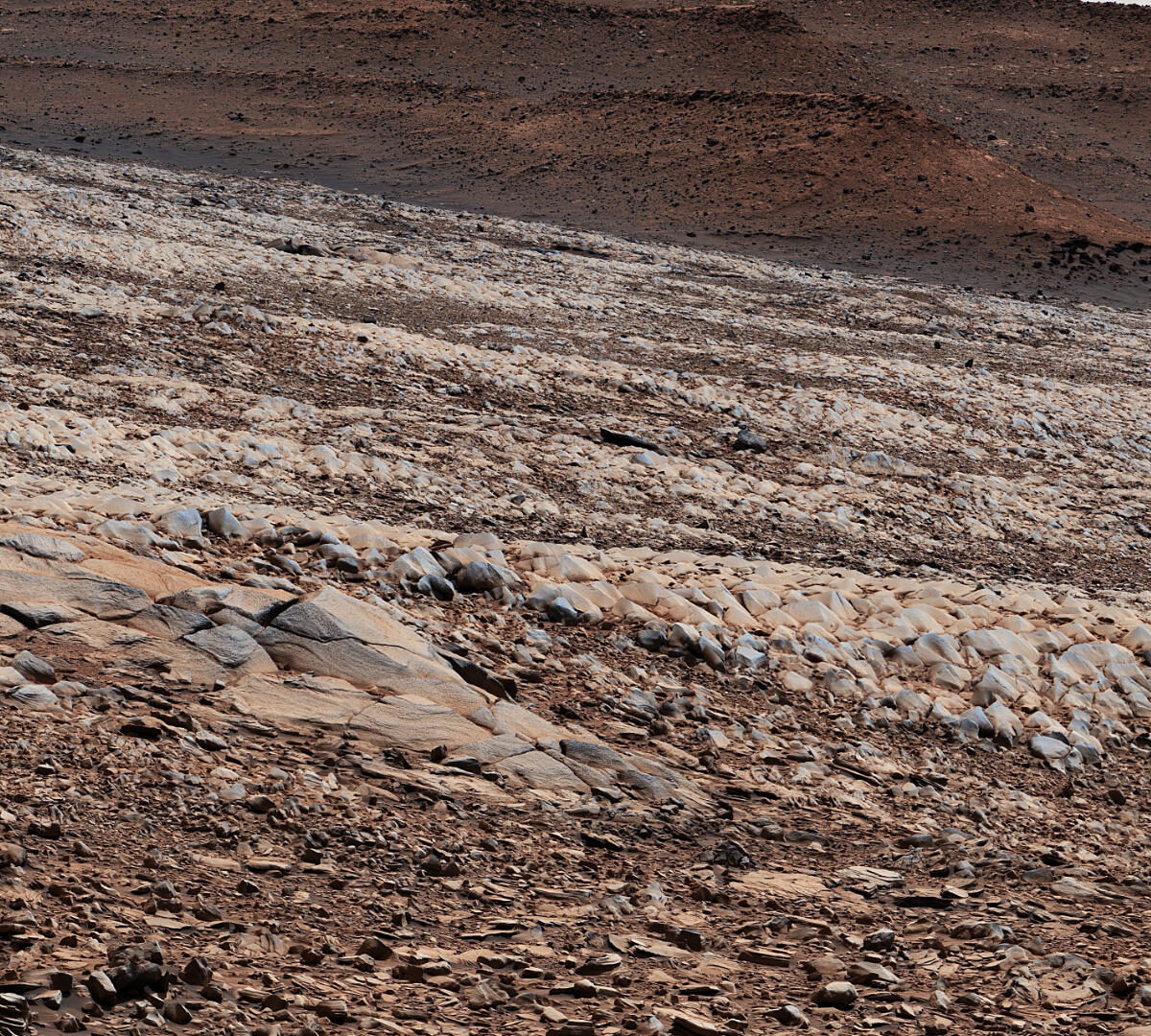 Rochers photographiés le 15 mars 2022 sur Mars. // Source : NASA/JPL-Caltech/MSSS (image recadrée)