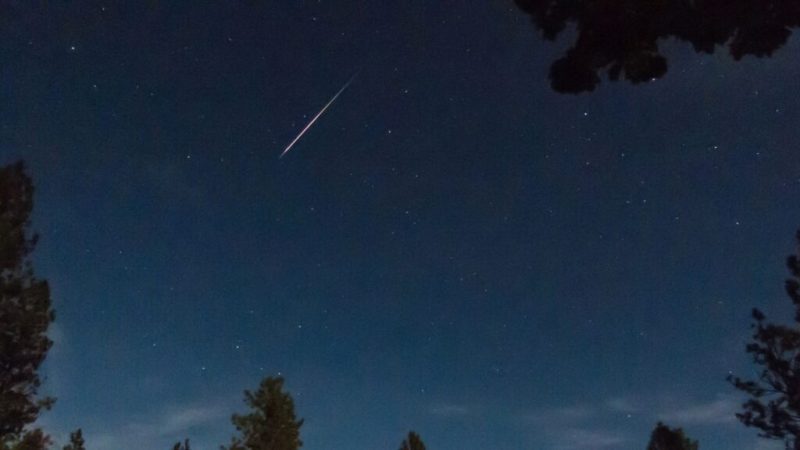 Comment bien voir l&rsquo;essaim d&rsquo;étoiles filantes des Lyrides en avril 2026&nbsp;?