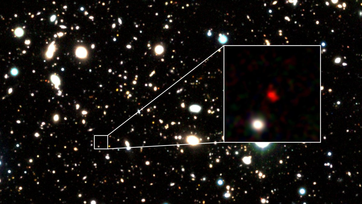 Zoom sur HD1. // Source : Harikane et al. (image recadrée)