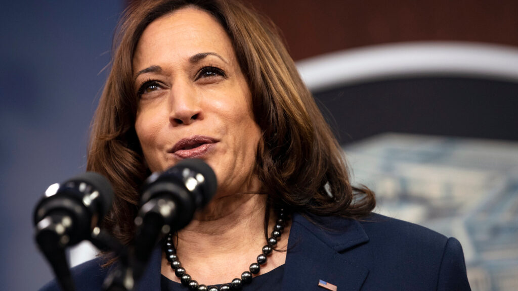 Kamala Harris en février 2021. // Source : Flickr/CC/Lisa Ferdinando (photo recadrée)