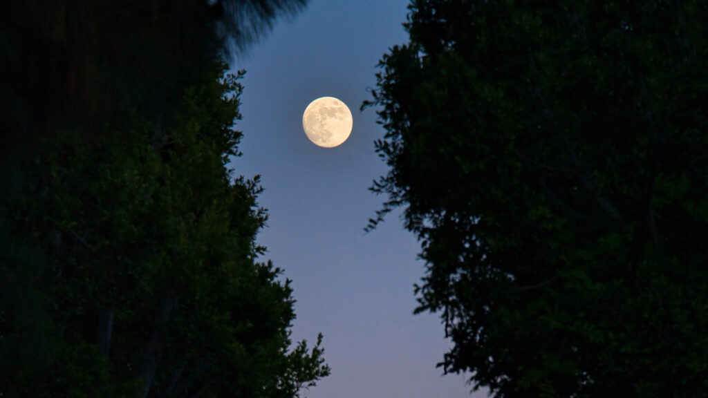 Pleine Lune. // Source : Unsplash/Venti Views (photo recadrée)