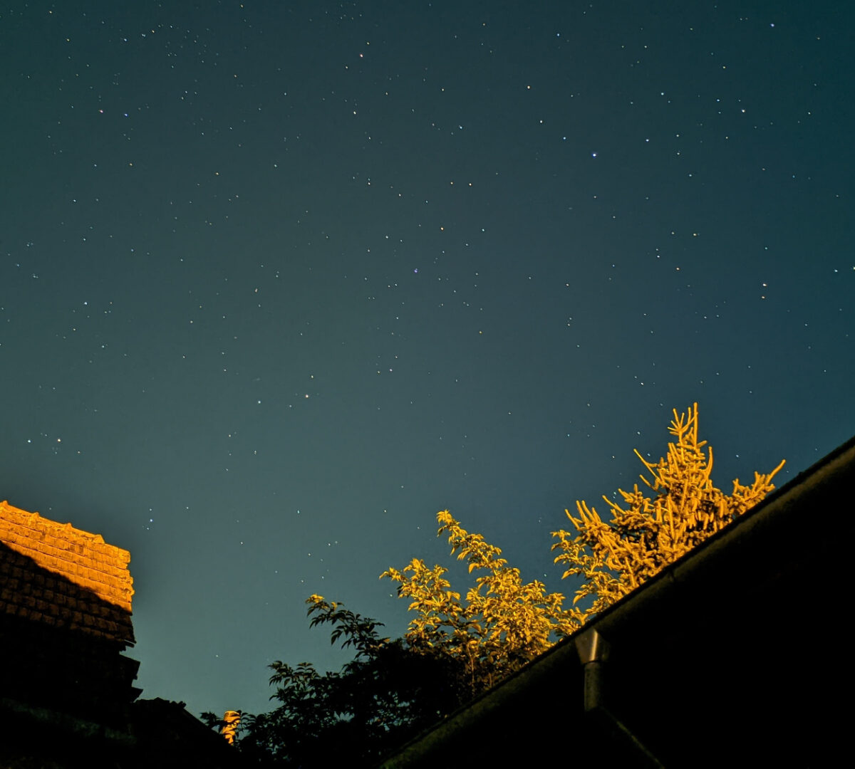 Ciel étoilé. // Source : Unsplash/Martin Caniga (image recadrée)