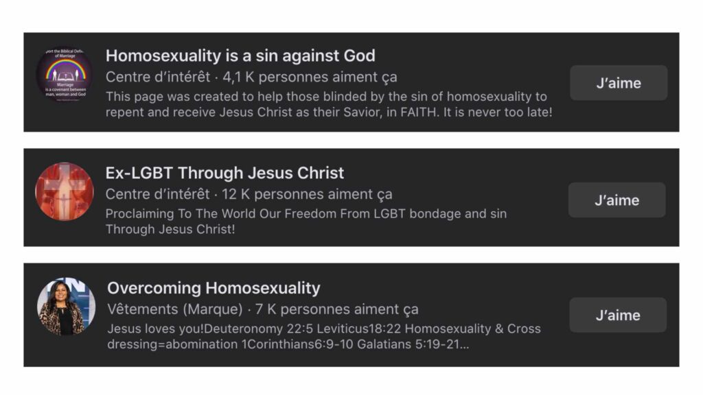 Plusieurs pages ouvertement homophobes, comptant chacune plusieurs milliers d'abonnés // Source : Capture d'écran Numerama
