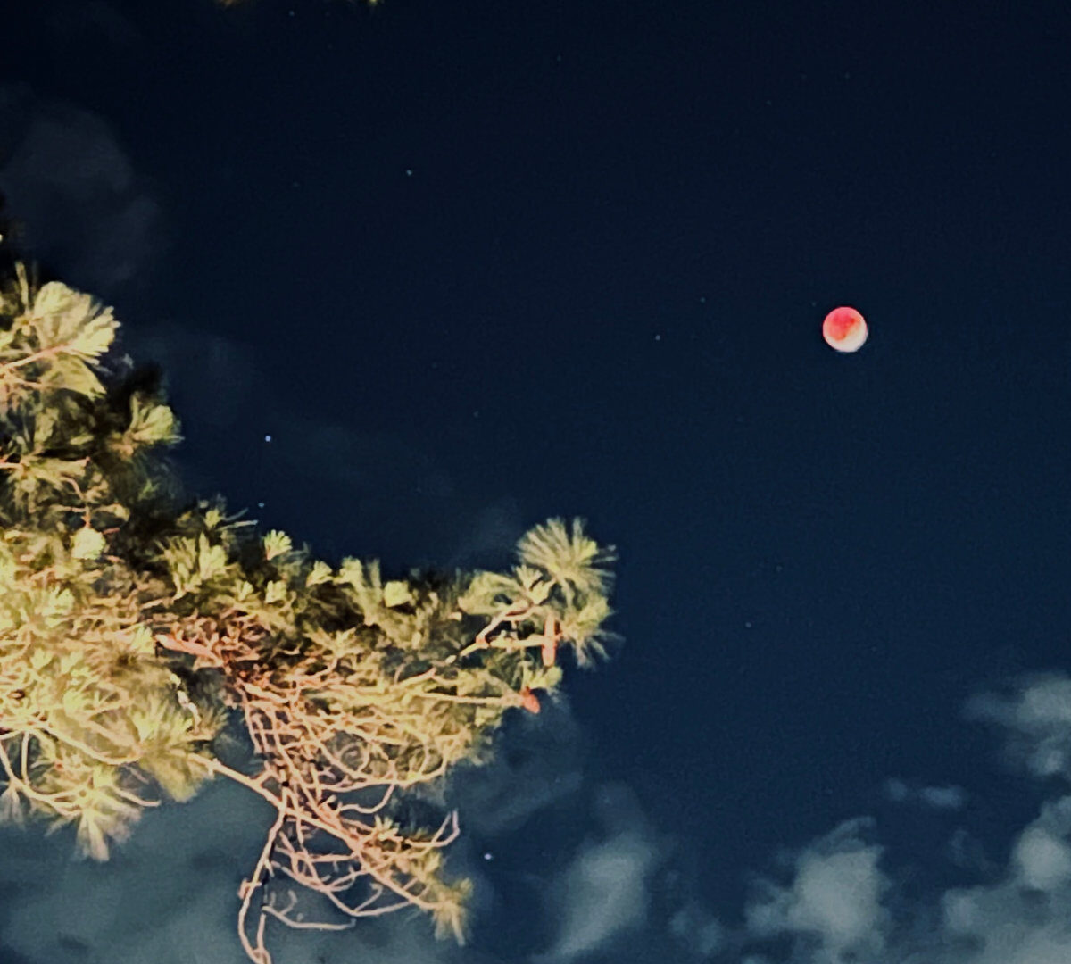 L'éclipse vue depuis Fayetteville. // Source : Flickr/CC/jalexartis Photography (photo recadrée)