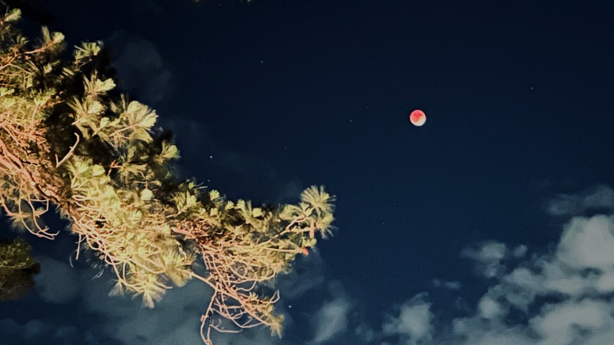 L'éclipse vue depuis Fayetteville. // Source : Flickr/CC/jalexartis Photography (photo recadrée)