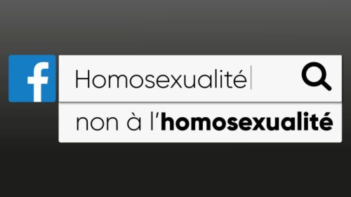 Sur Facebook, de nombreux groupes et pages partagent des propos ouvertement homophobes // Source : Nino Barbey pour Numerama