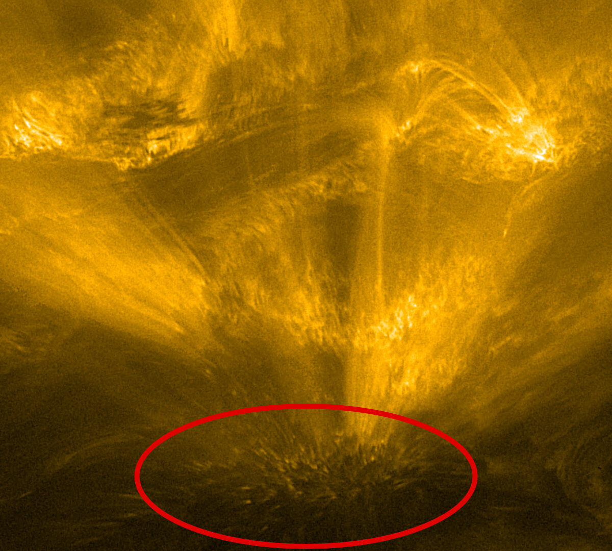 Le « hérisson solaire ». // Source : ESA & NASA/Solar Orbiter/EUI Team (photo recadrée et annotée)