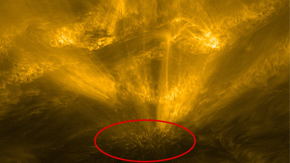 Le « hérisson solaire ». // Source : ESA & NASA/Solar Orbiter/EUI Team (photo recadrée et annotée)