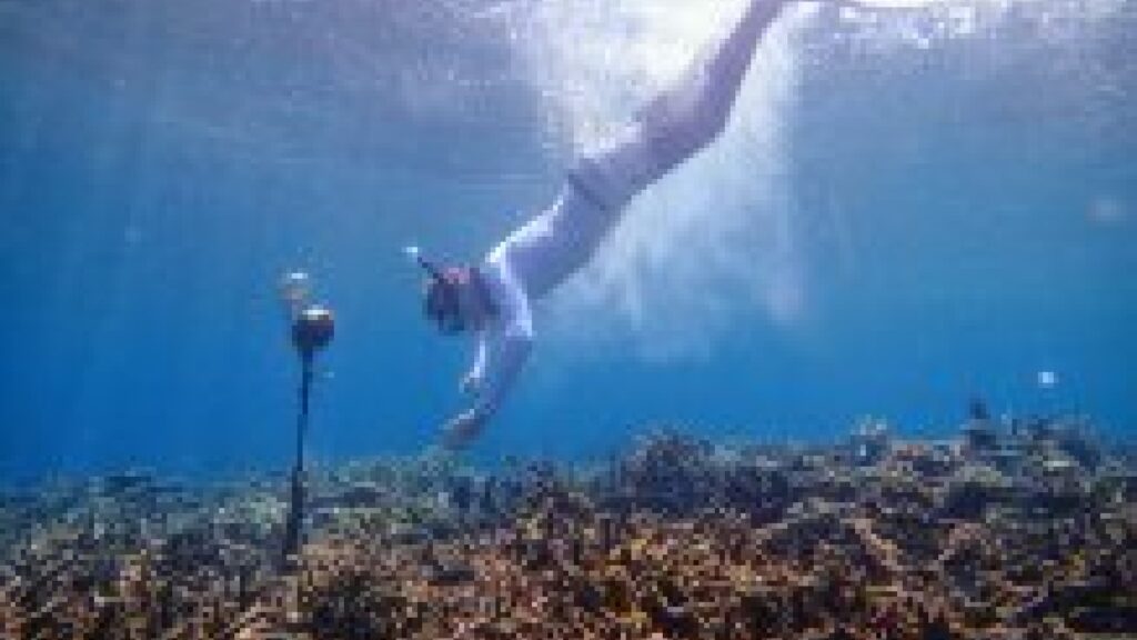 Un biologiste déployant un hydrophone à Sulawesi, en Indonésie, dans un récif. // Source : Tim Lamont, University of Exeter