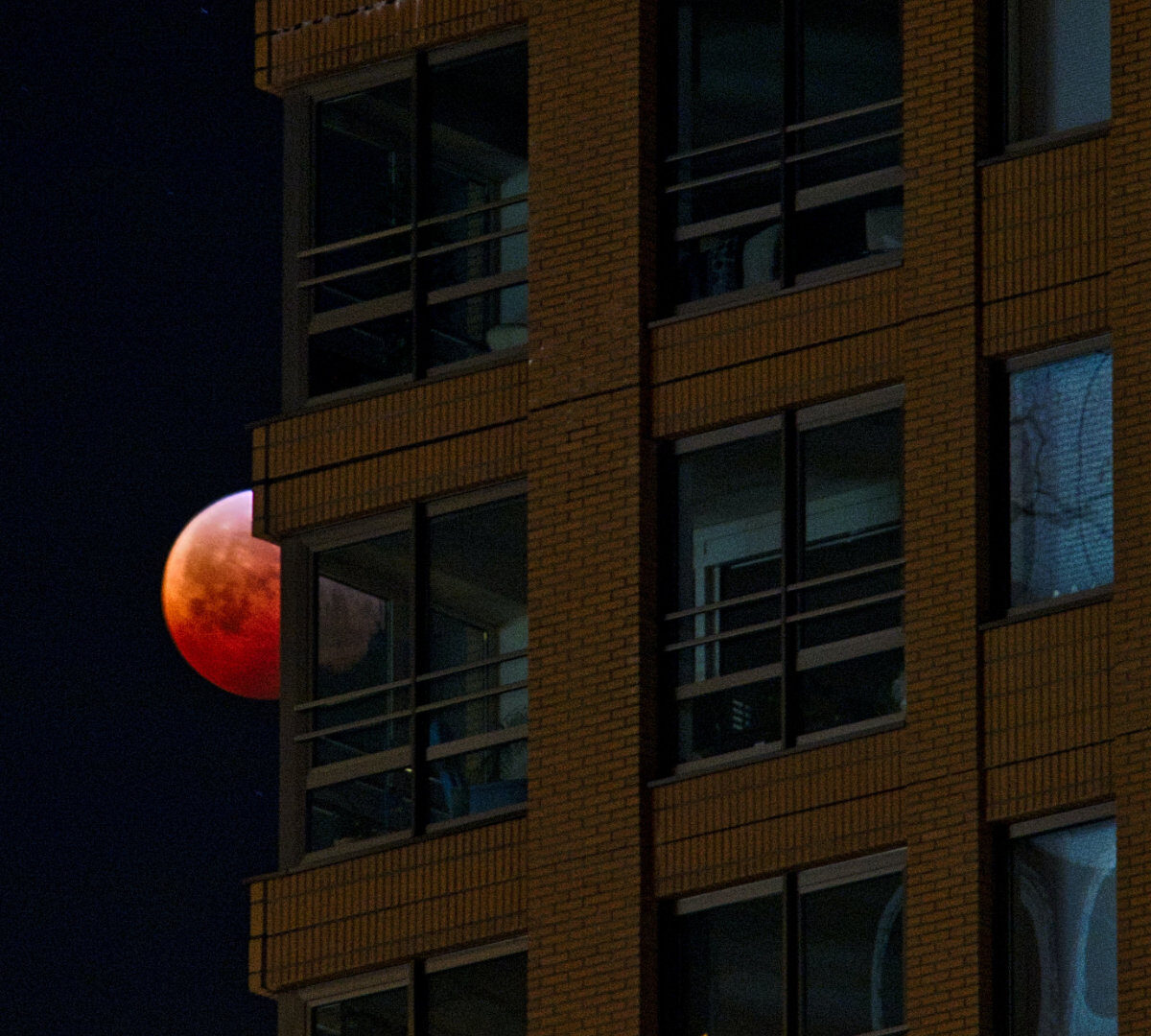 Lune éclipsée. // Source : Unsplash/Jochem Raat (photo recadrée)