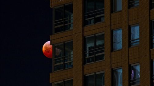 Lune éclipsée. // Source : Unsplash/Jochem Raat (photo recadrée)