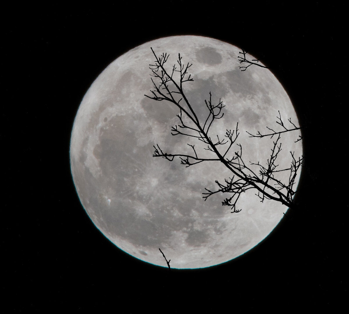 La Lune. // Source : Unsplash/David Dibert (photo recadrée)