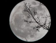 La Lune. // Source : Unsplash/David Dibert (photo recadrée)