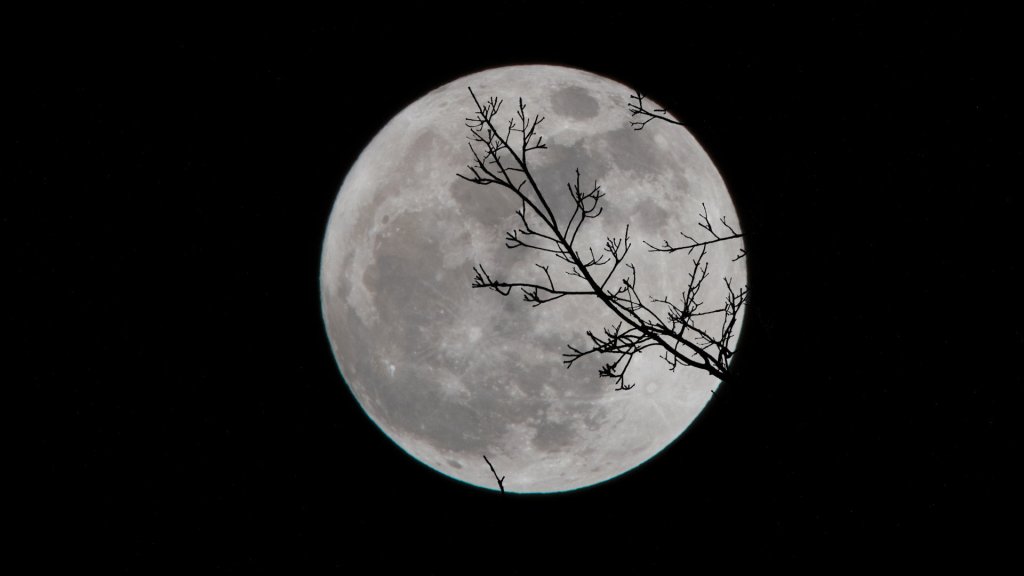 La Lune. // Source : Unsplash/David Dibert (photo recadrée)