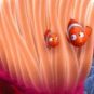 Source : Le Monde de Nemo