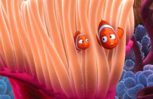 Source : Le Monde de Nemo