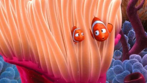 Source : Le Monde de Nemo
