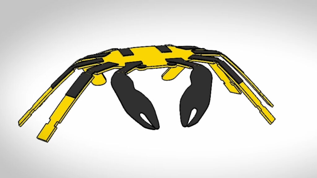 Le petit crabe robotique // Source :  NorthwesternU