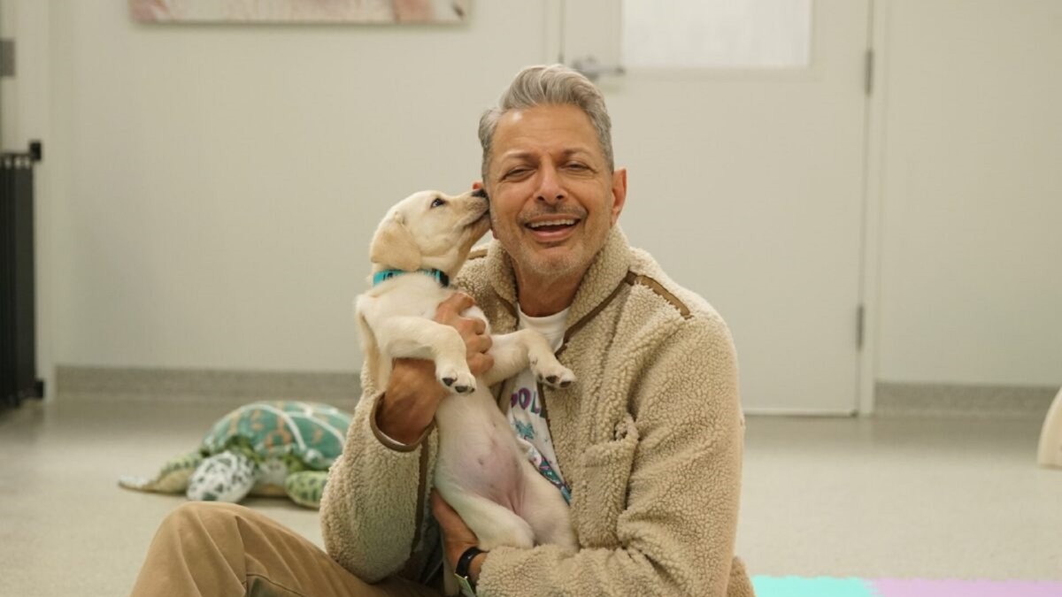 Le Monde selon Jeff Goldblum, à voir sur Disney+ // Source : Disney+