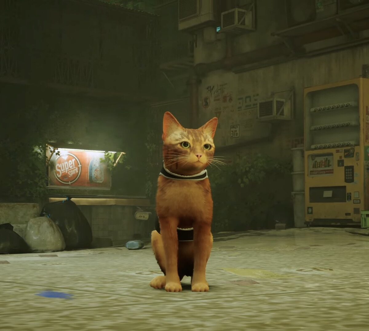 Le chat de Stray // Source : YouTube/PlayStation