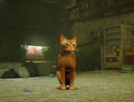 Le chat de Stray // Source : YouTube/PlayStation