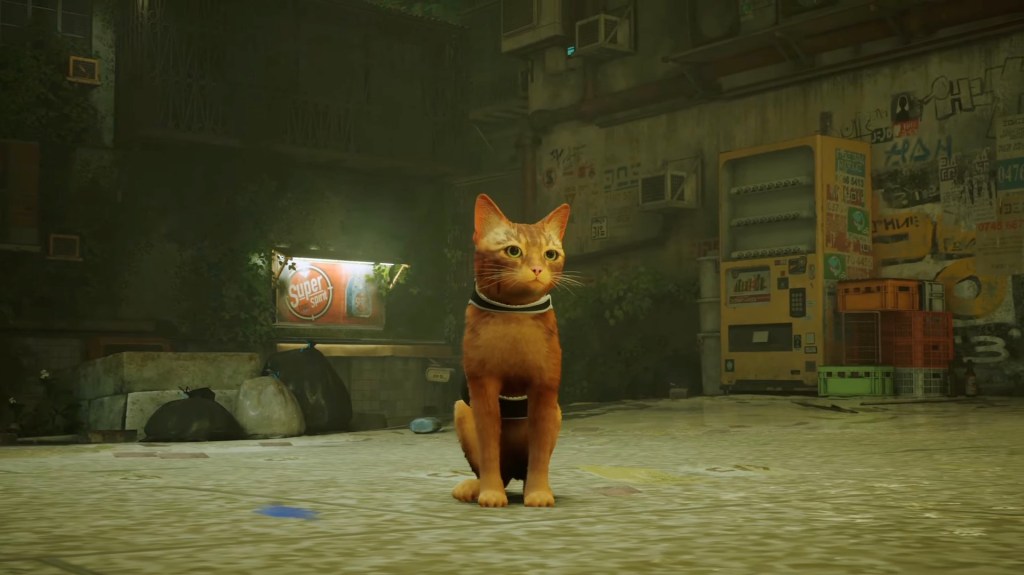 Le chat de Stray // Source : YouTube/PlayStation