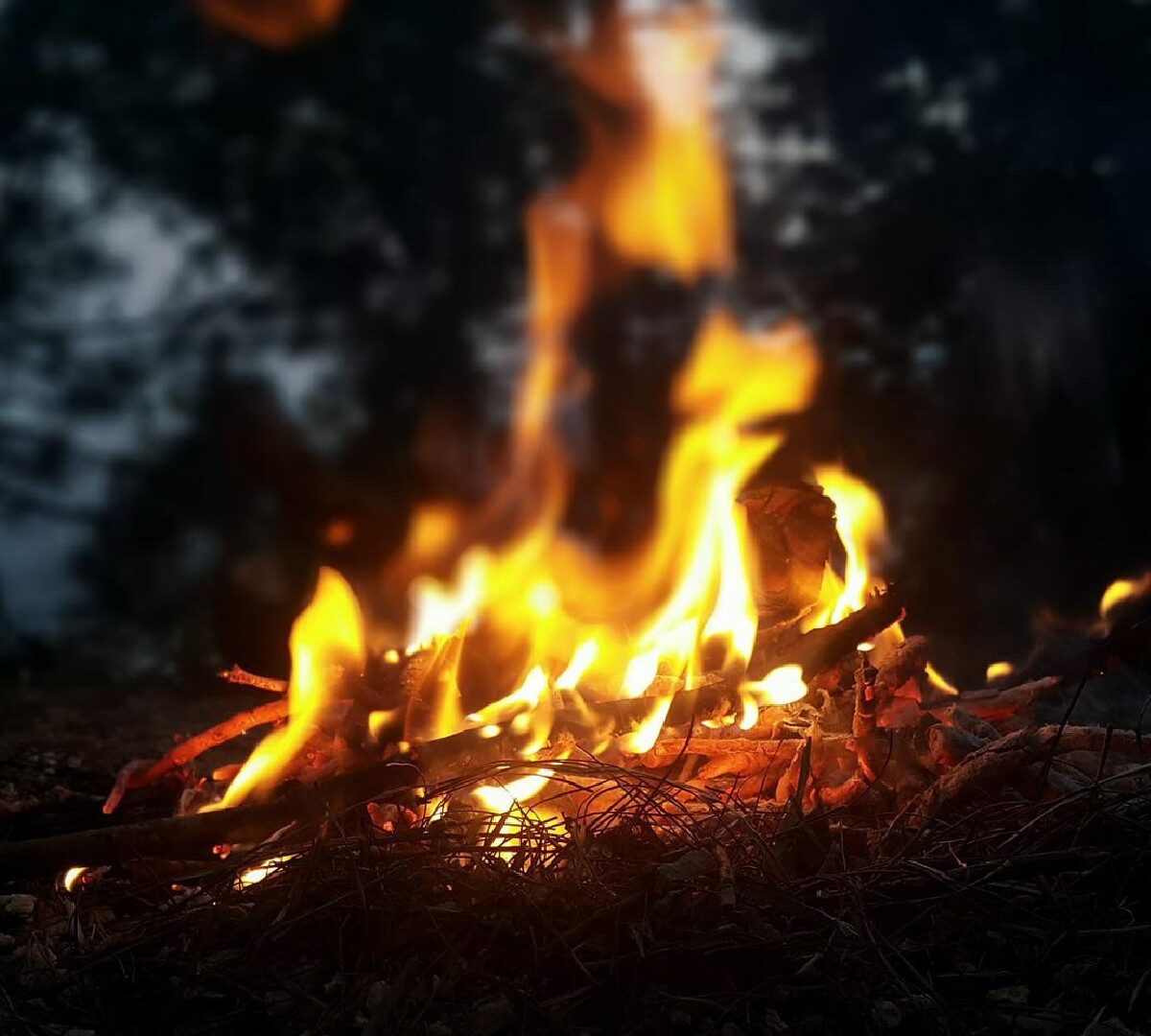 Feu de camp // Source : Pixabay