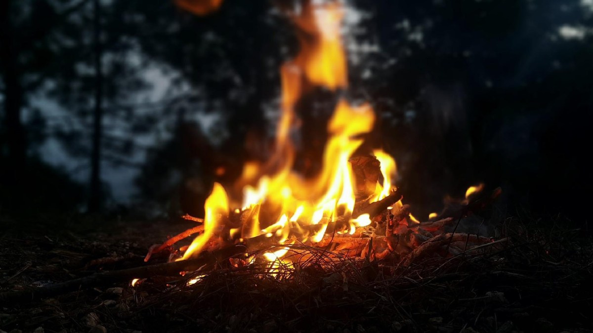 Feu de camp // Source : Pixabay