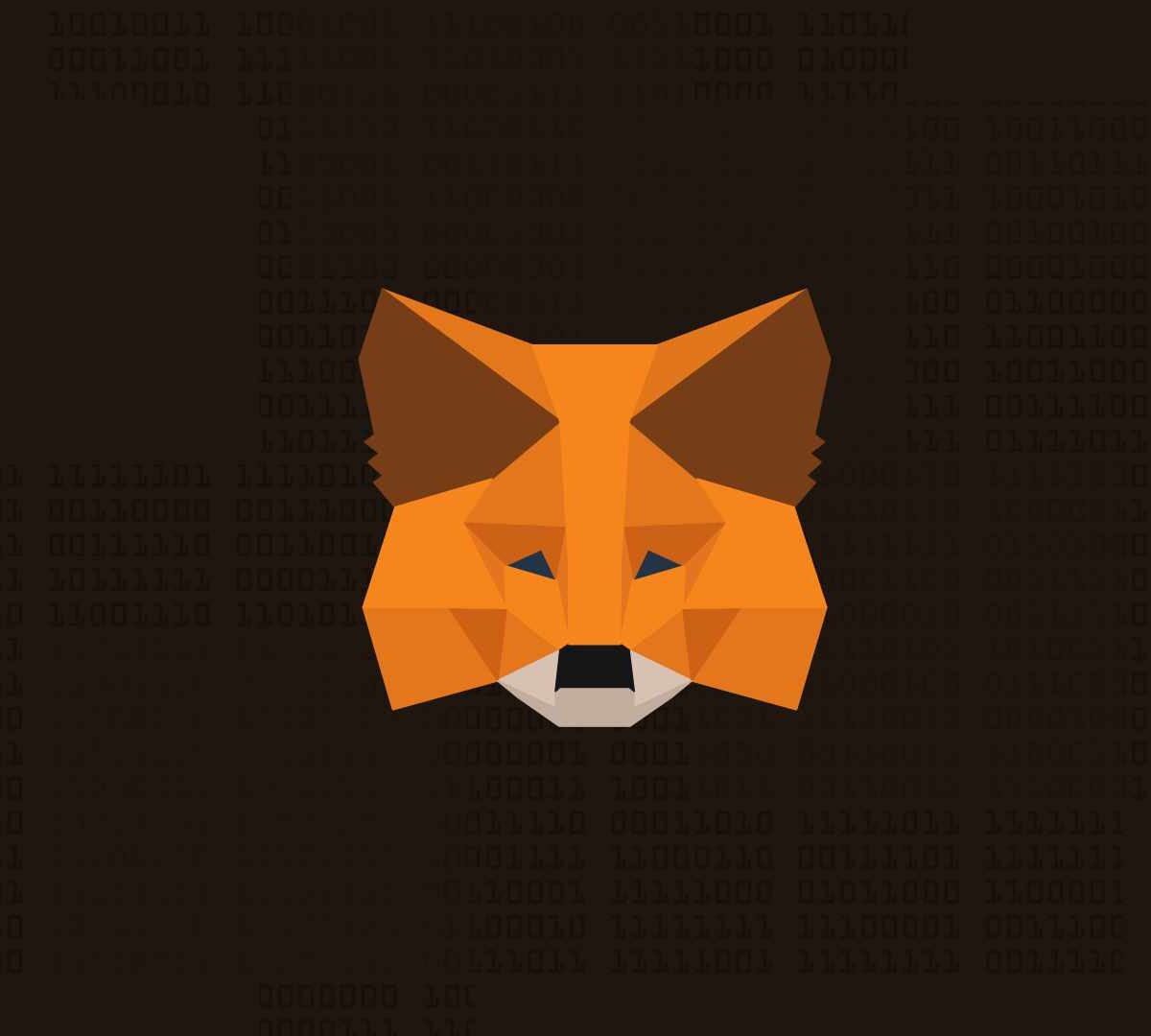 Metamask est un service de portefeuille crypto // Source : Nino Barbey pour Numerama