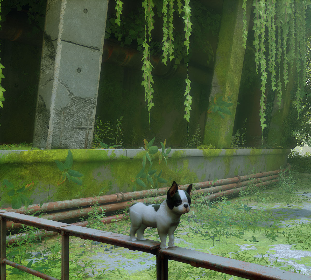 Un chien dans Stray // Source : Nexus Mods