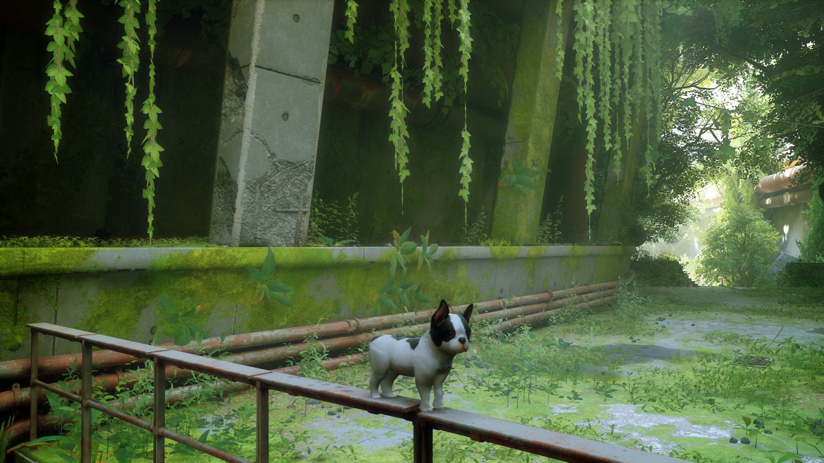 Un chien dans Stray // Source : Nexus Mods